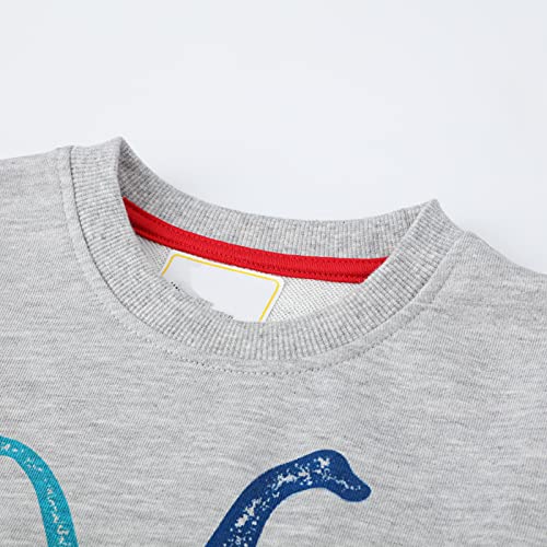 Hileelang Kids Boys Sweatshirt Crewneck Cotton Long Sleeve Pullover Grey Dinosaur Playwear Winter Tops Sweater Shirts Outfits 4T #TOP3