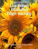 Lass deinen Wünschen Flügel wachsen