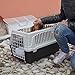 Ferplast Katzentransportbox, kleine mittelgroße Hundetransportbox, Hunde und Katzen bis 15 kg, mit Kissen und Napf, Lüftungsschlitze, 40x60xH38 cm, Transportbehälter Atlas 30 Open