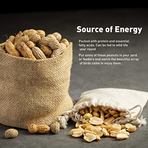 Squirrel Peanuts In Shell - Animal Peanut Bag – Ideal For Squirrels, Birds, Deer, Chipmunks, Raccoons And Outdoor Wildlife - 25 Pound #TOP4