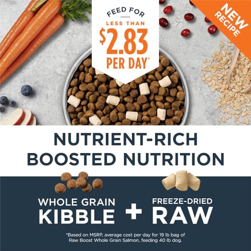 Instinct Raw Boost | Natürliches Trockenfutter für Hunde mit gefriergetrockneten Stücken | High Protein | Vollkornrezept - Echter Lachs & brauner Reis | 8,6 kg | Beutel