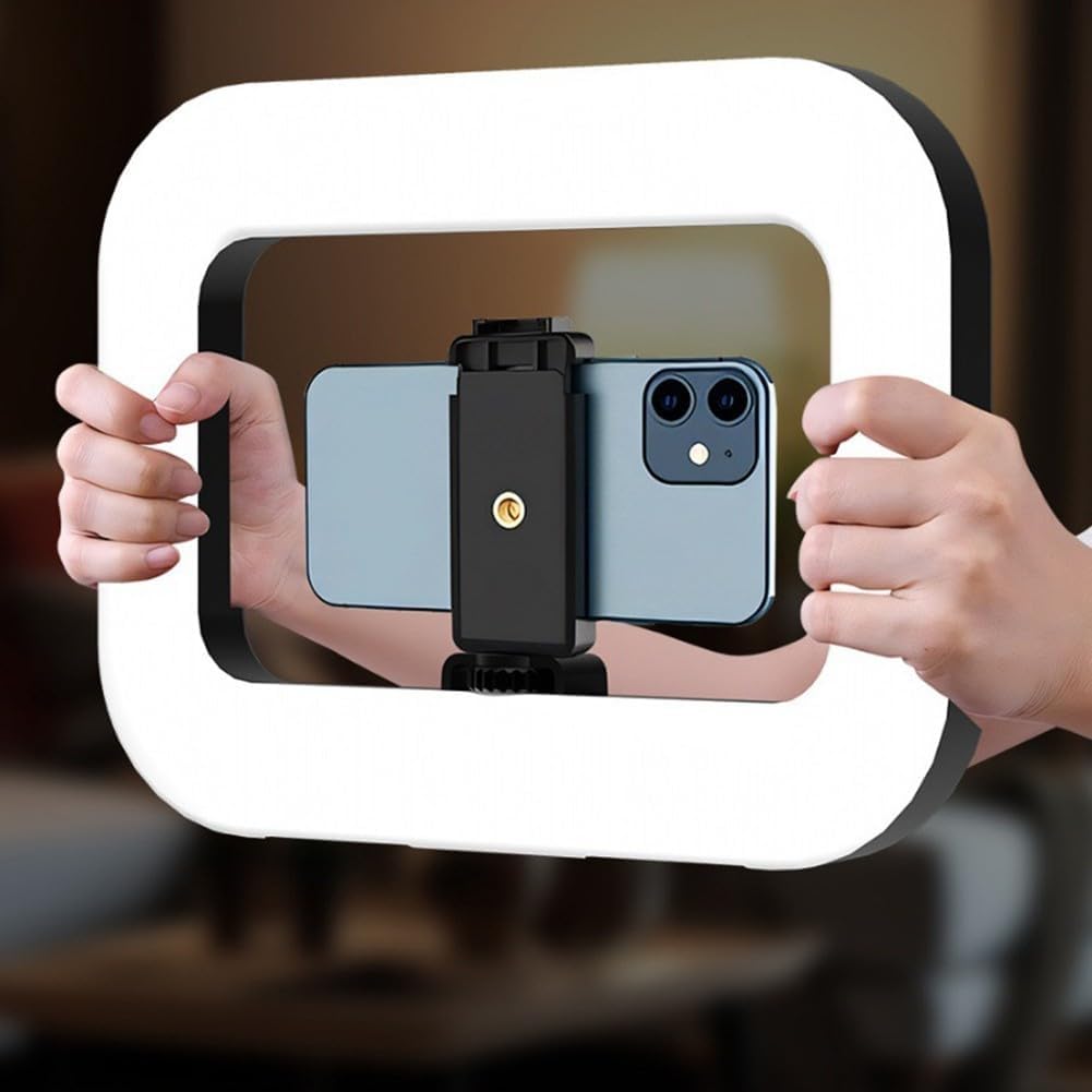 Smartphone Video Rig with Light, Handheld Ring Selfie Light Kit, Rechargeable Portable LED Mobile Video Stabilizer Lamp for Camera Video Recording