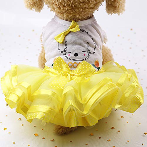 Small Dog Clothes Female Winter Pet Cat Dress Fruit Princess Summer Breathable Dress Clothes Girl Dog Sweaters Dresses #TOP1