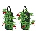 Pri Gardens Hanging Aeration Planter for Hot Peppers, Strawberries and Herbs | Eight Holes Per Planter