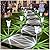 DenicMic Solar Lights Outdoor 10 Pack Solar Pathway Lights Outdoor Waterproof Solar Garden Lights LED Stainless Steel Outdoor Solar Lights for Yard Path Walkway Driveway Garden Decor (Cold White)