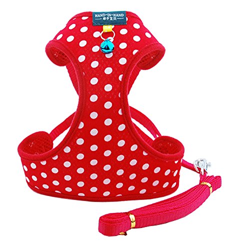 B-JOY 2 Pièces Harnais Réglable avec Laisse Veste Ensemble en Maille Tissu avec Points Très Magnifique pour Petit Chien chiot etc. 4 Tailles (moyen, rouge)