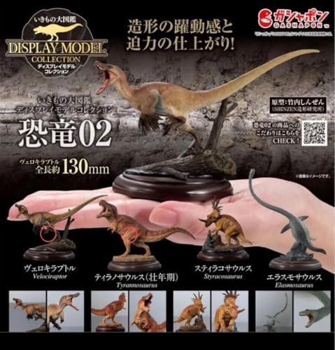 ̑} fBXvCfRNV 02 eBmTEX FLvg Zbg