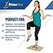 Fitterfirst Professional Rocker Board – 20”