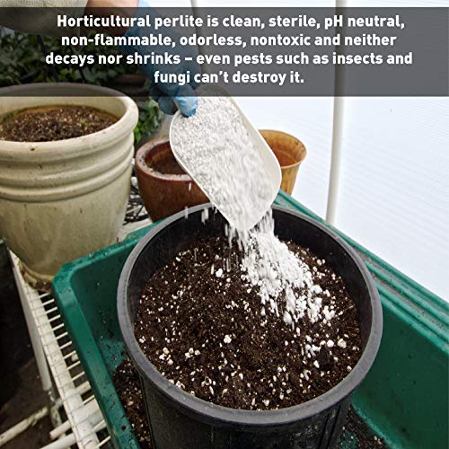 PVP Organic Perlite Planting Soil Additive - Image 3