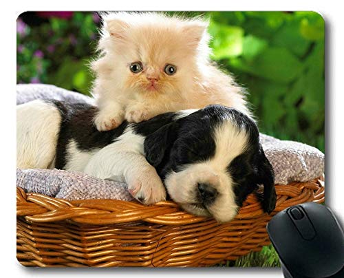 �Q�[�~���O�}�E�X�p�b�h�A�q�L�q�����L�}�E�X�p�b�h�A�R���s���[�^cat169�p�}�E�X�}�b�g