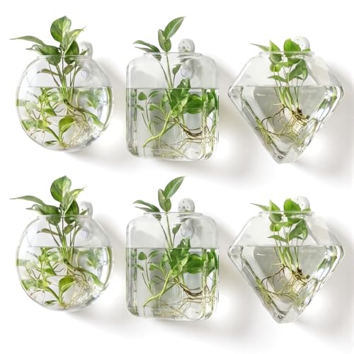 LemonRoad 6 Pcs Wall Hanging Glass Wall Hanging Planter Propagation