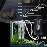 CIRULLI B0DYTB4LQK lato 3