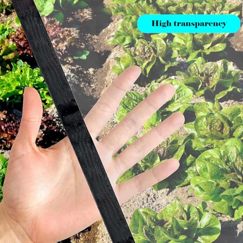 Lona Transparente 2x5m Impermeable con Ojales y PE Plegable 5