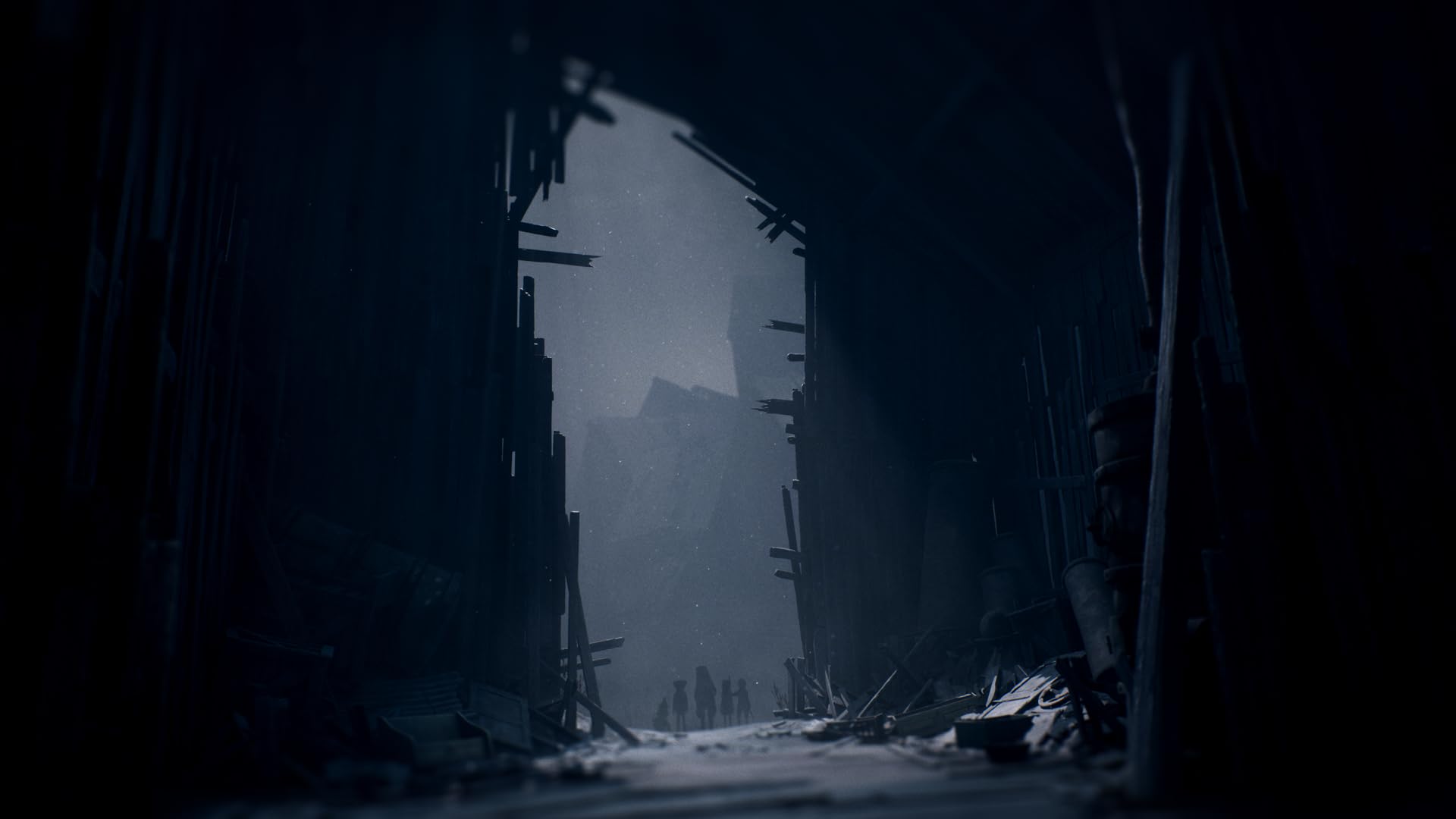 REANIMAL - Nintendo Switch 2 - 5