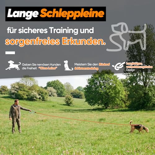 Aystkniet Schleppleine für Hunde, 5M 10M 15M 20M 30M Lange schleppleine mit 2 Wirbelhaken, Trainingsleine für Kleine Mittlere und Große Hunde, Starke Hundeleine Laufleine für Große Hunde bis 150kg
