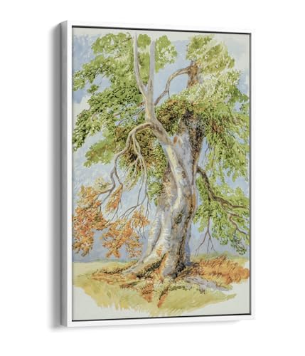 Toile Gnarled Tree David Hall McKewan pour sublimer la décoration de votre salon moderne