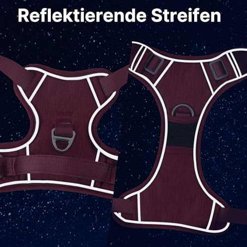 Demigreat Mittleres Hundegeschirr, Anti-Zug-Hundegeschirr mit Weich Gepolstertem Griff für das Training Beim Spazierengehen, Verstellbar, Reflektierend, für Kleine, Mittlere und große Hunde