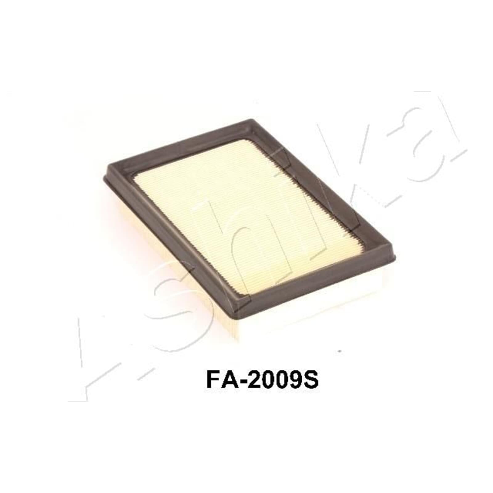 Ashika 20 02 2009 Motore Camere