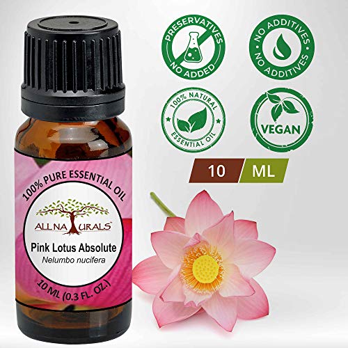 Image of All Naturals Pink Lotus Absolute Essential Oil (Kerala) 100% Pure, Lasting Exotic Floral Aroma For Natural Perfumes, Massage Oils, Attars, Diy Skincare & Diffusers - 10 Ml|N-Hexane Extracted