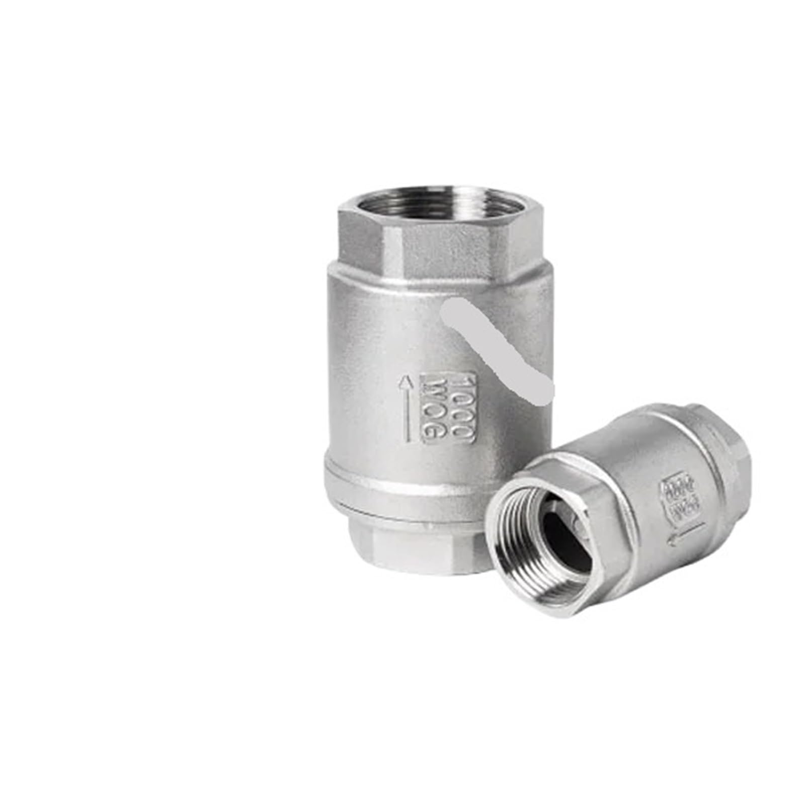 Dkgnyxnplj Dn40 Spring Check Valve Thread Non-Return Stainless Steel 304/316 Valve(Dn40)