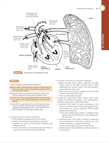 Therapyed Rita P. Fleming-Castaldy National Occupational Therapy Certification Exam Review And Study Guide thumb #5