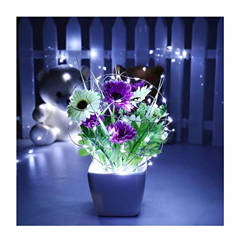 sunnymi Fairy String Light, Rope Lights LED Lights Solar Powered Waterproof - for Indoor Outdoor Party Garden Valentine's Day Decoration (1M)