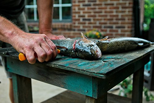 Ultrasource 449029 Boning Knife, 6" Curved/Semi-Flexible Blade, Polypropylene Handle, Orange #TOP5