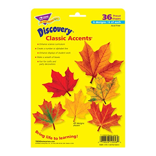 Feuilles d'érable multicolores Trend T-10958 assortiment robuste