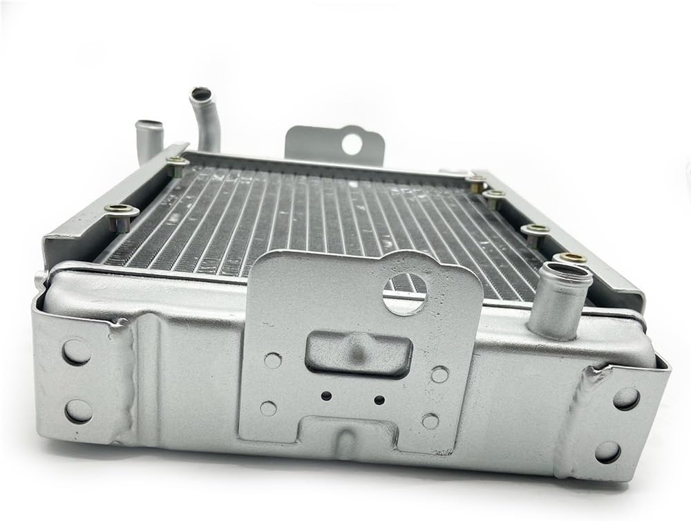 Water Radiator Cooling Machine Fit for 300 LH300 4WD Parts