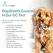AffinityDNA Dog Exercise Induced Collapse (EIC) DNA Test | Home Sample Collection Kit for 1 Canine | EIC Testing for Your Puppy | Results in 7 Working Days | A Complete Kit with No Extra Fees
