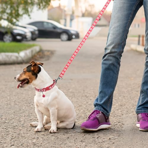 2 Sets Welpenhalsband mit Leine Set für Katzenstreu, Welpen Halsbänder, Katzenleine und Halsband-Set mit Glöckchen, Halsbänder für kleine Hunde, Kein Geschirr, Kätzchenleinen, Katzenhalsbänder