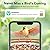 PeckCam Smart Bird Feeder with Camera 2K Live Real-Time Alert AI Identify with 32G Card DIY Attachments Camera Bird Feeder Solar Powered Wireless Outdoor Birdwatching Gift for Birds Lover, Red