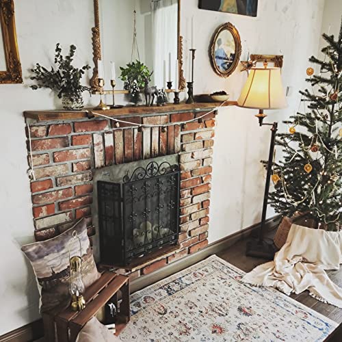 Pantalla de chimenea de hierro forjado con puerta para estufa de leña 4