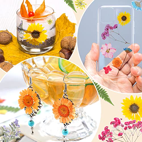 Funtery 111 piezas flores prensadas secas para manualidades miniatura 7