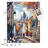 ARNLRDYA Paris France Paint by Number Kits, Sacre-Coeur in Montmartre Paint by Numbers for Adults, City Scenery Acrylic Painting for Gift Home Decor(16×20inches, Unframe)