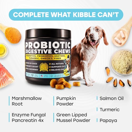 Probiotics for Dogs - PhD Endorsed Digestive Enzymes - Gut Health, Diarrhea & Bowel Support - Dog Treats with Turmeric, Omega-3 & Fiber - Immune Soft 140 Chews - Beef Flavor - Made in USA