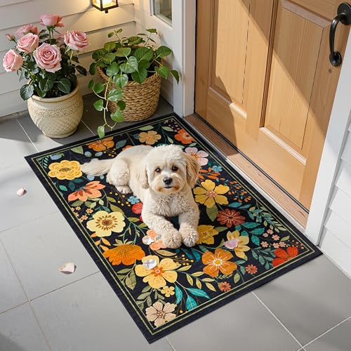 Ruaruarug Floral Washable Small Area Rug 2×3 for Entryway Ultra Soft, Black