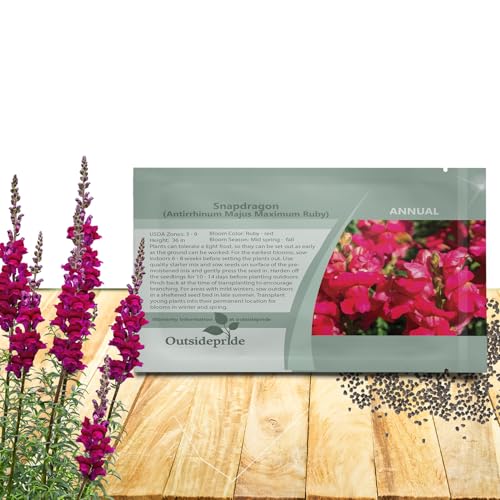 Outsidepride Ruby Snapdragon Seeds - 5000 Pcs Annual Flower Seeds for Planting, Frost-Tolerant, Pollinator-Friendly Cool-Season Plant with Attractive Blooms for Cut Flower Arrangements