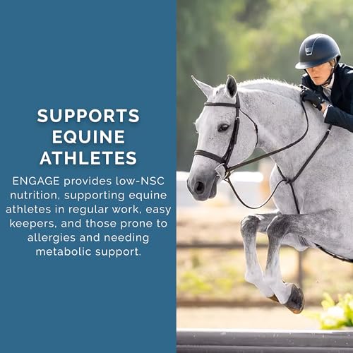 PRO Series Engage Cool Calorie Base Equine Feed, 40lbs - with PROeq for Joint, Gut, Brain & Body Health - Ideal for Easy Keepers - Low NSC, USDA Organic & Alfalfa-Free - Image 7