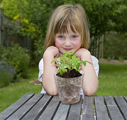 Plastic Nursery Pots - 36 Pieces 7 / 5 / 4 Inch Soft Transparent Plastic Gardening Pot Planting With Drainage Hole For Seedling Succulent Vegetable Flowers Cuttings #TOP4