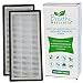 Replacement HEPA Type Filter For Hapf30 2pack