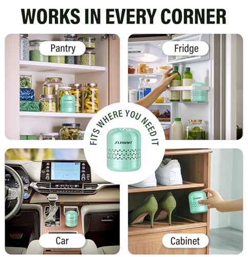 Image of Fridge Deodorizer, Lasts Up to 10 Years, Stainless Steel, Green