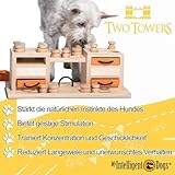 My Intelligent Dogs Interaktives Hundespielzeug Intelligenz, Hundepuzzle - Intelligenzspielzeug für Hunde Mentalen Auslastung - Interaktives Spielzeug Hund, Denkspiele für Hunde Two Towers