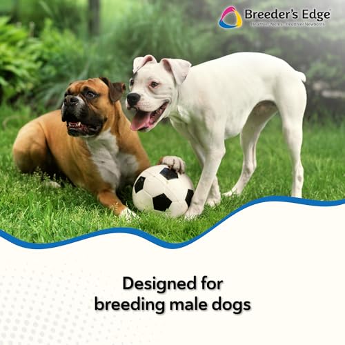 Image of Breeder's Edge in Between for Him Multivitamin Soft Chews, Med /Lg Dog 360ct