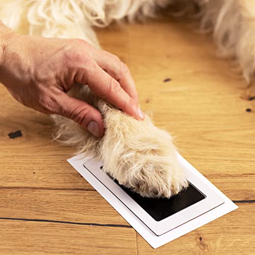 Navaris Urne für Hund oder Katze - Tierurne inkl. Platz für 2 Fotos und Pfotenabdruck - Hundeurne Katzenurne - Tierurnen für Hunde - Hunde Box in Schwarz
