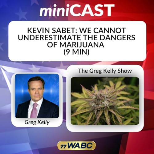 Kevin Sabet: We Cannot Underestimate The Dangers Of Marijuana (9 Min)