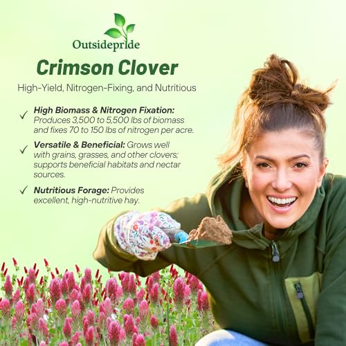 Outsidepride Crimson Clover Seeds - 5 lbs. Annual, Nitrocoated, & Inoculated Ground Cover Seeds, Ideal Clover Seed for Lawn, Cover Crop, Pasture, Hay, Green Manure & Wildlife Forage