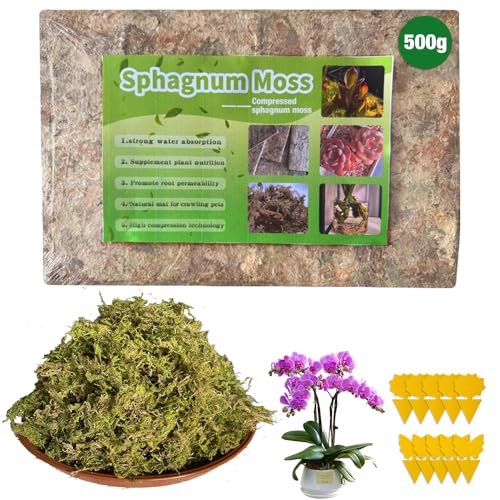 LYPPUL 500g Musgo Sphagnum Tierra para Plantas, Natural Musgo para Orquideas, Musgo Sustrato Orquideas con 10 Trampa Moscas, Sphagnum Moss para Plantas Enmienda de Suelo de Jardinería