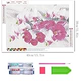 Zoom IMG-1 zephyrhome kit completo diamond painting Zoom IMG-1 zephyrhome kit completo diamond painting