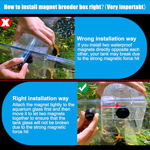 Tanques de criação de peixes